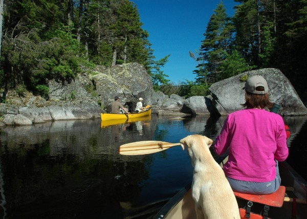 Ruby (Tangier Canoe Trip).jpg